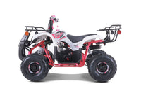 Tao D125 107cc Youth ATV, Automatic with Reverse, Electric Start, Coil Over Shocks, Front & Rear Brakes, Remote Kill, Speed Limiter