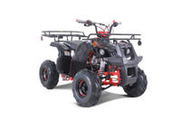 Tao D125 107cc Youth ATV, Automatic with Reverse, Electric Start, Coil Over Shocks, Front & Rear Brakes, Remote Kill, Speed Limiter