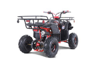 Tao D125 107cc Youth ATV, Automatic with Reverse, Electric Start, Coil Over Shocks, Front & Rear Brakes, Remote Kill, Speed Limiter