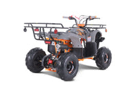 Tao D125 107cc Youth ATV, Automatic with Reverse, Electric Start, Coil Over Shocks, Front & Rear Brakes, Remote Kill, Speed Limiter