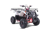Tao D125 107cc Youth ATV, Automatic with Reverse, Electric Start, Coil Over Shocks, Front & Rear Brakes, Remote Kill, Speed Limiter