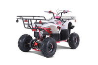 Tao D125 107cc Youth ATV, Automatic with Reverse, Electric Start, Coil Over Shocks, Front & Rear Brakes, Remote Kill, Speed Limiter