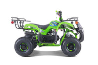 Tao D125 107cc Youth ATV, Automatic with Reverse, Electric Start, Coil Over Shocks, Front & Rear Brakes, Remote Kill, Speed Limiter