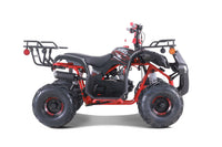 Tao D125 107cc Youth ATV, Automatic with Reverse, Electric Start, Coil Over Shocks, Front & Rear Brakes, Remote Kill, Speed Limiter