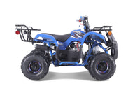 Tao D125 107cc Youth ATV, Automatic with Reverse, Electric Start, Coil Over Shocks, Front & Rear Brakes, Remote Kill, Speed Limiter