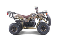 Tao D125 107cc Youth ATV, Automatic with Reverse, Electric Start, Coil Over Shocks, Front & Rear Brakes, Remote Kill, Speed Limiter