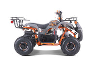 Tao D125 107cc Youth ATV, Automatic with Reverse, Electric Start, Coil Over Shocks, Front & Rear Brakes, Remote Kill, Speed Limiter
