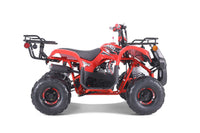 Tao D125 107cc Youth ATV, Automatic with Reverse, Electric Start, Coil Over Shocks, Front & Rear Brakes, Remote Kill, Speed Limiter