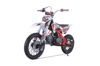 Tao DB24 110cc Youth Dirt Bike, Semi-Automatic, Hydraulic Disc Brakes, Folding Adjustable Levers, Silver Front Forks, Off Road Only