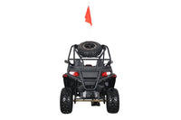 CRT Moto DF200RS UTV Side by Side, Automatic wih Reverse, Dual Disc Brakes, Double A-Arm Suspension