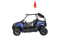 CRT Moto DF200RS UTV Side by Side, Automatic wih Reverse, Dual Disc Brakes, Double A-Arm Suspension