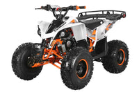 TrailMaster F125 Youth ATV, 8" wheel, 125cc 4-stroke, air-cooled, Automatic with Reverse. electric start, Throttle Limiter,