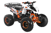 TrailMaster F125 Youth ATV, 8" wheel, 125cc 4-stroke, air-cooled, Automatic with Reverse. electric start, Throttle Limiter,