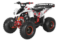 TrailMaster F125 Youth ATV, 8" wheel, 125cc 4-stroke, air-cooled, Automatic with Reverse. electric start, Throttle Limiter,