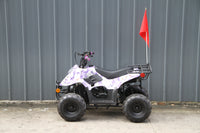 RPS Dinosaur ATV110-6S Youth Hunter Style ATV - 110cc, Automatic Transmission, Rear Rack, Electric Start, Thumb Throttle with Free Battery Charge, up to $49 value