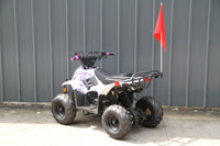 RPS Dinosaur ATV110-6S Youth Hunter Style ATV - 110cc, Automatic Transmission, Rear Rack, Electric Start, Thumb Throttle with Free Battery Charge, up to $49 value