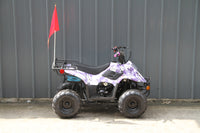 RPS Dinosaur ATV110-6S Youth Hunter Style ATV - 110cc, Automatic Transmission, Rear Rack, Electric Start, Thumb Throttle with Free Battery Charge, up to $49 value