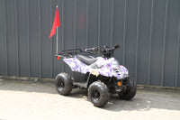 RPS Dinosaur ATV110-6S Youth Hunter Style ATV - 110cc, Automatic Transmission, Rear Rack, Electric Start, Thumb Throttle with Free Battery Charge, up to $49 value