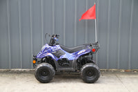 RPS Dinosaur ATV110-6S Youth Hunter Style ATV - 110cc, Automatic Transmission, Rear Rack, Electric Start, Thumb Throttle with Free Battery Charge, up to $49 value