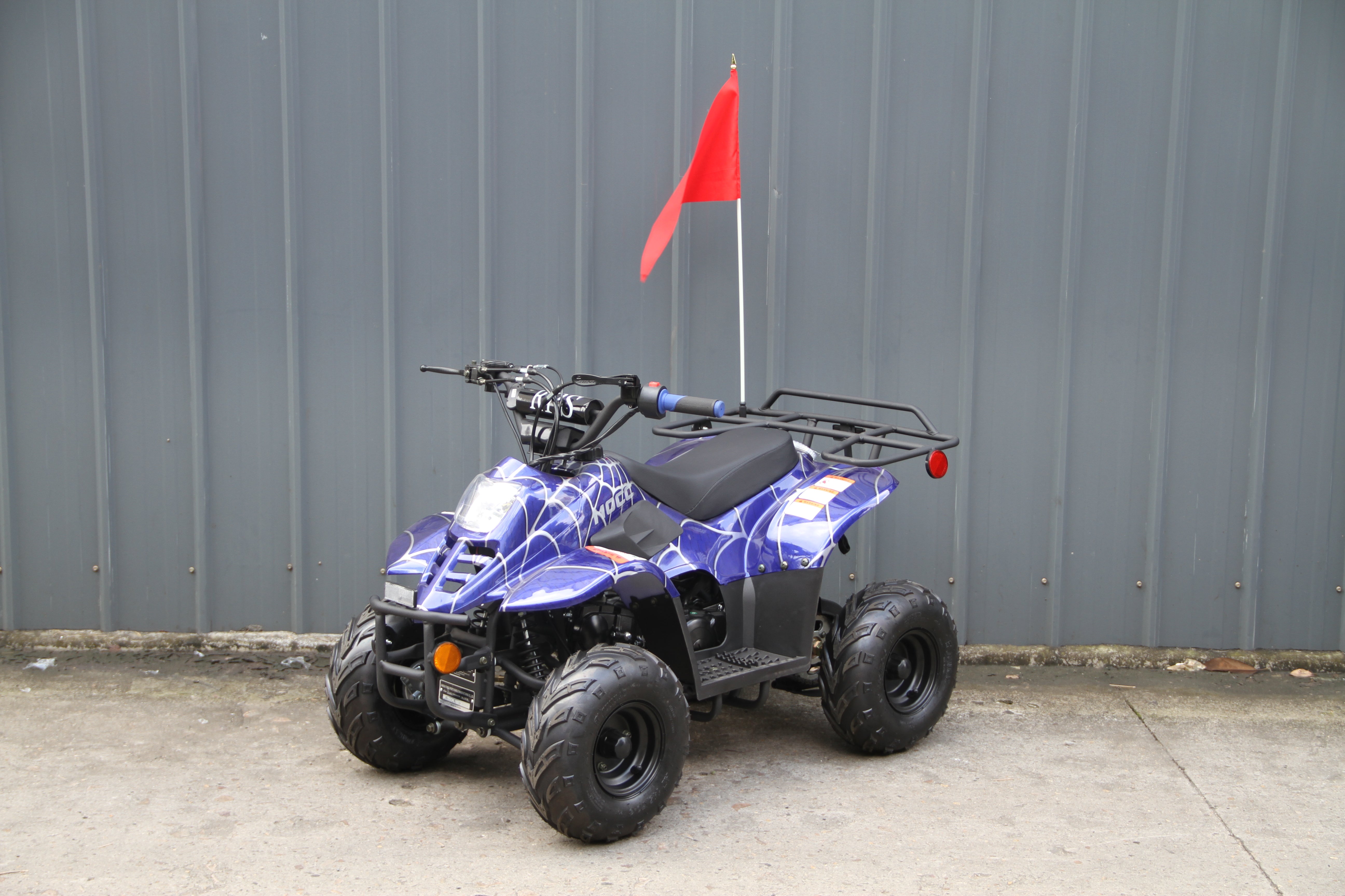 RPS Dinosaur ATV110-6S Youth Hunter Style ATV - 110cc, Automatic Transmission, Rear Rack, Electric Start, Thumb Throttle with Free Battery Charge, up to $49 value