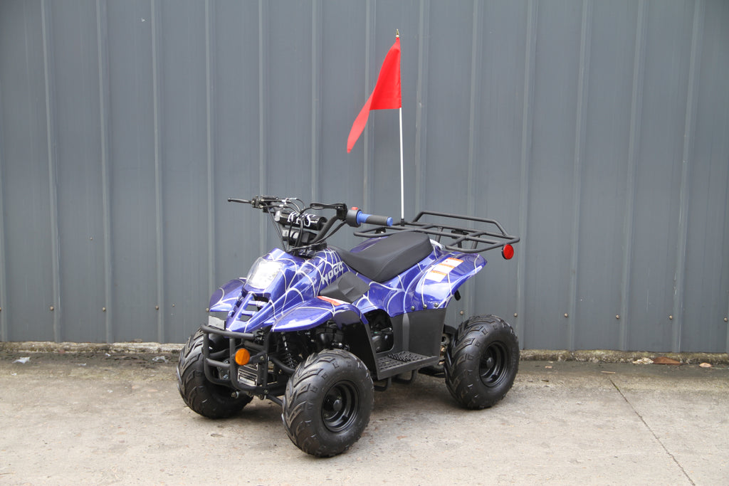 RPS Dinosaur ATV110-6S Youth Hunter Style ATV - 110cc, Automatic Transmission, Rear Rack, Electric Start, Thumb Throttle with Free Battery Charge, up to $49 value