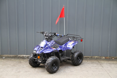 RPS Dinosaur ATV110-6S 107cc Kids ATV, Hunter Style, Automatic Transmission, Electric Start, Thumb Throttle, Rear Rack