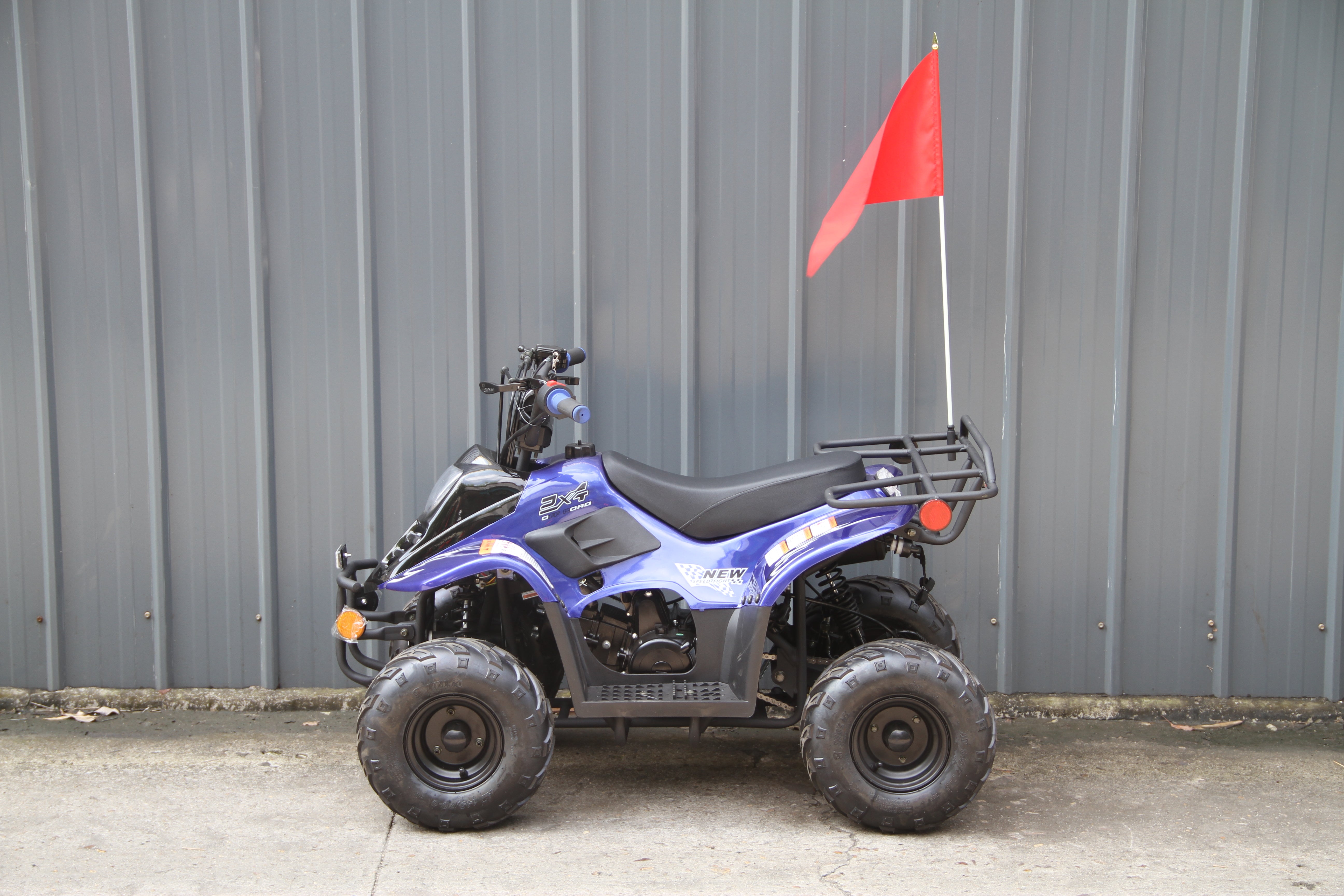 RPS Dinosaur ATV110-6S Youth Hunter Style ATV - 110cc, Automatic Transmission, Rear Rack, Electric Start, Thumb Throttle with Free Battery Charge, up to $49 value