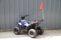 RPS Dinosaur ATV110-6S Youth Hunter Style ATV - 110cc, Automatic Transmission, Rear Rack, Electric Start, Thumb Throttle with Free Battery Charge, up to $49 value