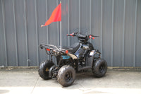 RPS Dinosaur ATV110-6S Youth Hunter Style ATV - 110cc, Automatic Transmission, Rear Rack, Electric Start, Thumb Throttle with Free Battery Charge, up to $49 value