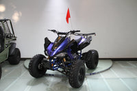 RPS Blizzard 200 Sport ATV - Adult Full Size, 169cc, Automatic with Reverse, 21-Inch Front Tires, Alloy Rims