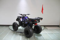 RPS Desert 200 Utility 200ATV-21 Adult ATV - 149cc, Automatic, Reverse, 21" Tires, Dual Racks, LED Lights with Free Battery Charge, up to $49 value