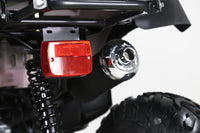 Tao Rhino 250 197cc Adult ATV, Manual 4 Speed with Reverse, Electric Start, LED Lights, Front & Rear Cargo Racks, High Ground Clearance, Steel Rims