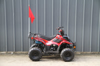 RPS Dinosaur ATV110-6S Youth Hunter Style ATV - 110cc, Automatic Transmission, Rear Rack, Electric Start, Thumb Throttle with Free Battery Charge, up to $49 value
