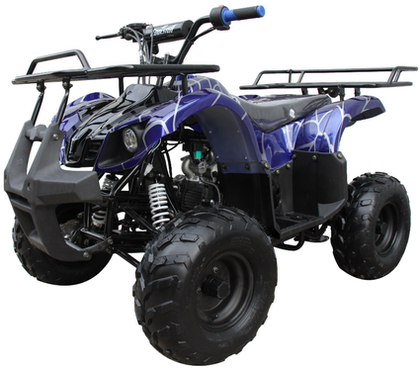 Coolster 3125R Mid-Size Deluxe Utility Youth Quad - 120cc, Automatic with Reverse, Electric Start, Ages 12 and Up