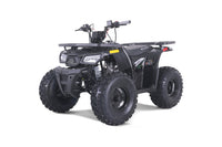 Tao Mudhawk 10, Youth 120cc ATV, Automatic with Reverse, Digital Dash, Parental Controls, LED Headlights, Electric Start