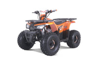 Tao Mudhawk 10, Youth 120cc ATV, Automatic with Reverse, Digital Dash, Parental Controls, LED Headlights, Electric Start