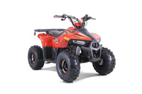 Tao Mudhawk 6 110cc Kids ATV, Automatic with Reverse, Electric Start, Throttle Limiter, Wireless Remote Kill Switch, LED Lights, Digital Gear Indicator, Rear Rack