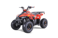 Tao Mudhawk 6, Kids ATV, Electric Start, Automatic Trans with reverse , Throttle Limiter, Remote Kill, 24 inch seat height