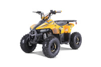Tao Mudhawk 6 110cc Kids ATV, Automatic with Reverse, Electric Start, Throttle Limiter, Wireless Remote Kill Switch, LED Lights, Digital Gear Indicator, Rear Rack