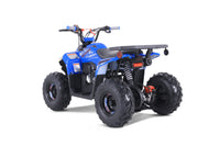 Tao Mudhawk 6 110cc Kids ATV, Automatic with Reverse, Electric Start, Throttle Limiter, Wireless Remote Kill Switch, LED Lights, Digital Gear Indicator, Rear Rack