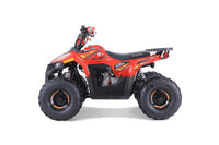 Tao Mudhawk 6 110cc Kids ATV, Automatic with Reverse, Electric Start, Throttle Limiter, Wireless Remote Kill Switch, LED Lights, Digital Gear Indicator, Rear Rack
