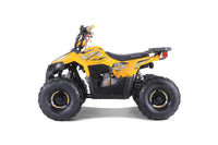 Tao Mudhawk 6 110cc Kids ATV, Automatic with Reverse, Electric Start, Throttle Limiter, Wireless Remote Kill Switch, LED Lights, Digital Gear Indicator, Rear Rack