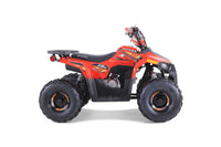 Tao Mudhawk 6 110cc Kids ATV, Automatic with Reverse, Electric Start, Throttle Limiter, Wireless Remote Kill Switch, LED Lights, Digital Gear Indicator, Rear Rack