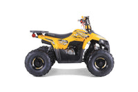 Tao Mudhawk 6 110cc Kids ATV, Automatic with Reverse, Electric Start, Throttle Limiter, Wireless Remote Kill Switch, LED Lights, Digital Gear Indicator, Rear Rack