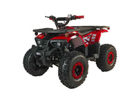 Vitacci Phantom 125cc youth ATV.  Fuel Injected, Mid Size, Electric start, Bead Lock Style Rims, With Reverse, LED Headlight.