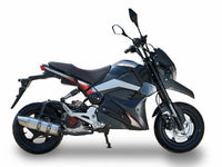 Ice Bear Evader M5, 50cc. automatic trans, full light package, telescoping front forks, electric start