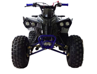 Vitacci Max 125 EFI 125cc Youth ATV, 4-Stroke Air Cooled, Automatic with Reverse, Electric Start, Double A-Arm Suspension, 8-Inch Tires