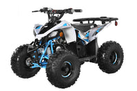 Trailmaster R125 Youth ATV, 120cc,  Race Inspired, Automatic Trans with reverse, Electric Start, LED Head lIghts, Color Matched Suspension, Speed limiter