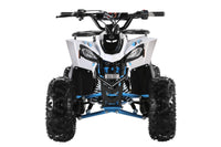 Trailmaster R125 Youth ATV, 120cc,  Race Inspired, Automatic Trans with reverse, Electric Start, LED Head lIghts, Color Matched Suspension, Speed limiter