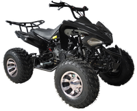 RPS Blizzard 200 cc Adult Full-Size ATV, Automatic with Reverse, 21-inch front tires, Alloy Rims